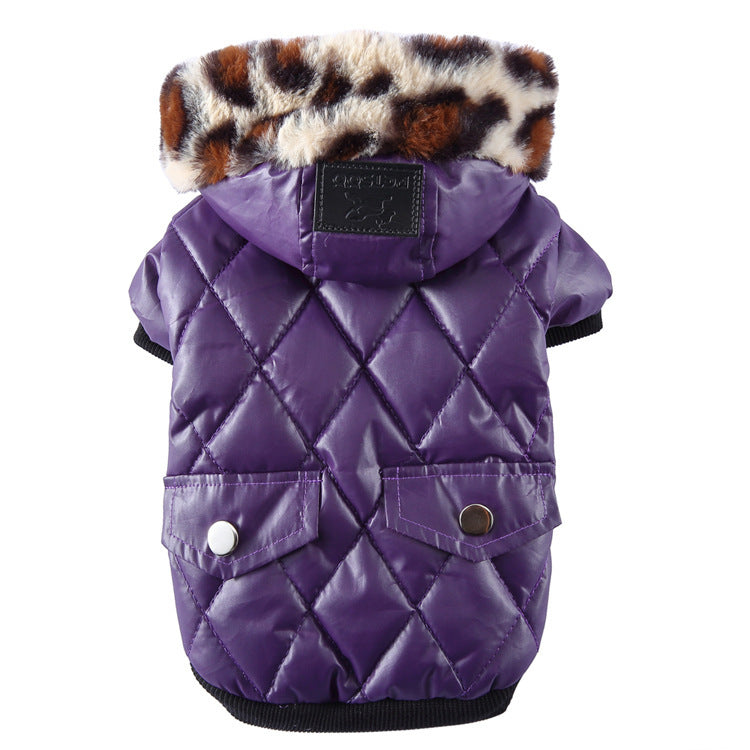 Winter dog clothes