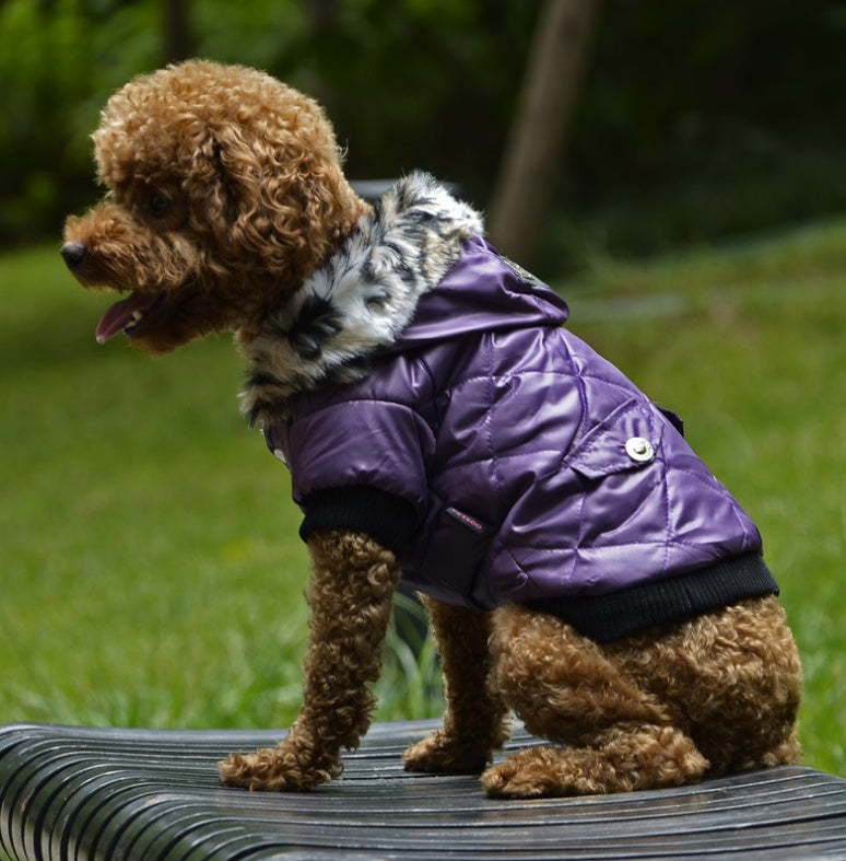 Winter dog clothes