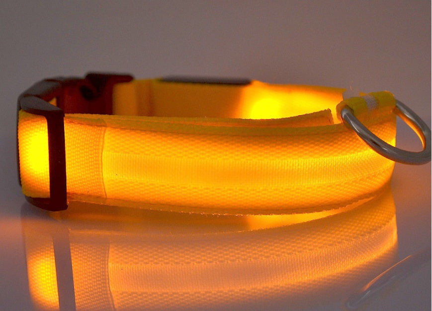 Pet Nylon LED Collar