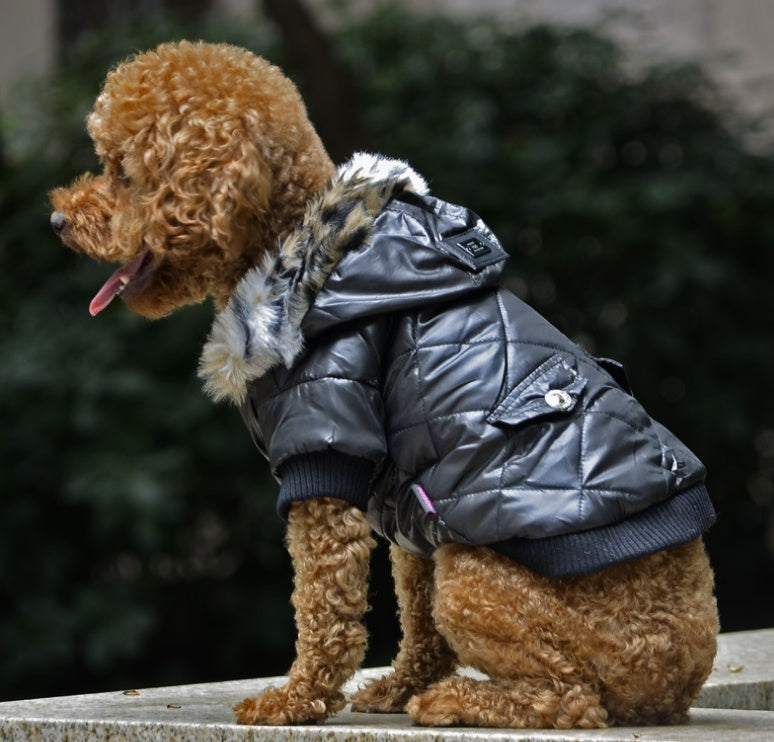 Winter dog clothes