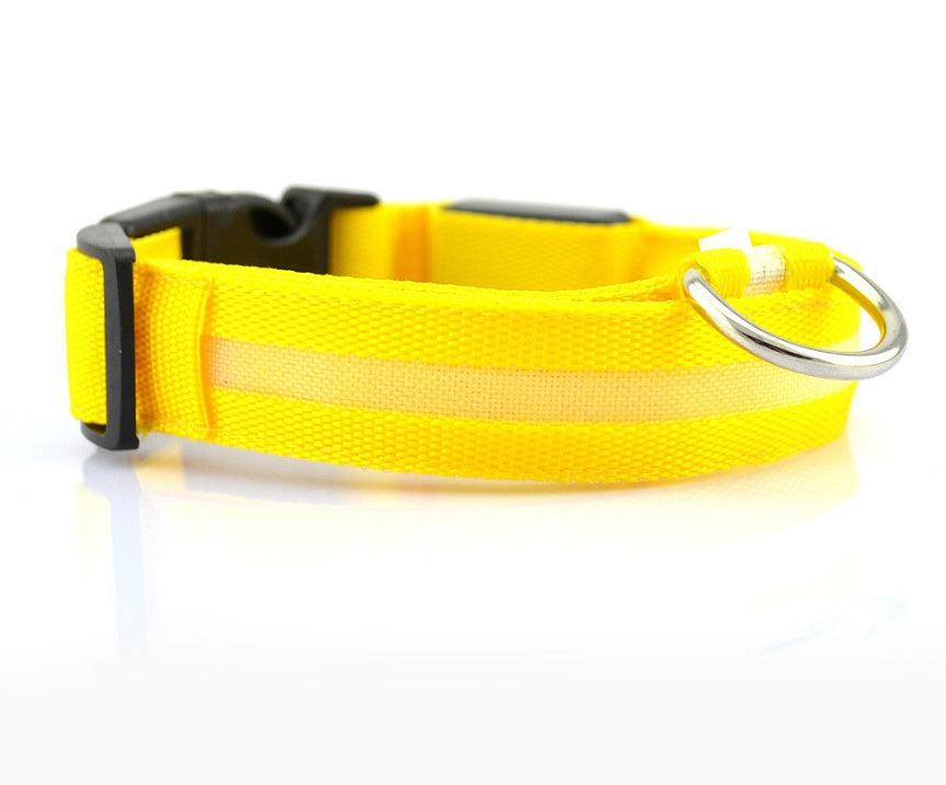 Pet Nylon LED Collar