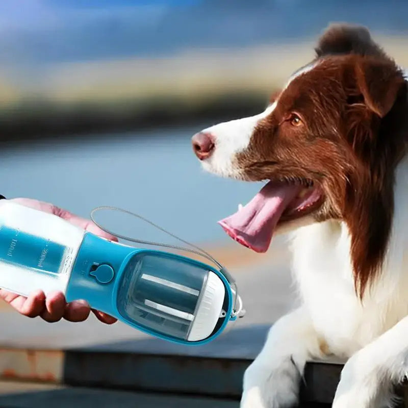 Pets Water Bottle