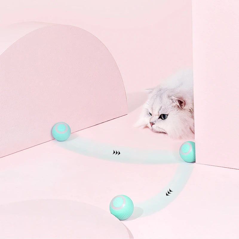 Remote Control Interactive pet Car Toy