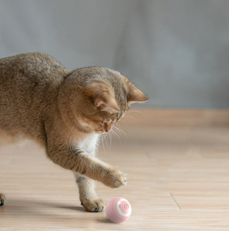 Automatic Rolling Ball