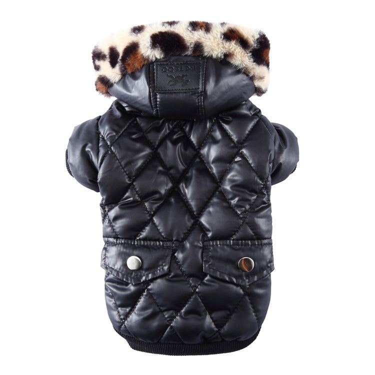 Winter dog clothes