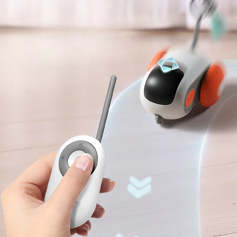 Remote Control Interactive pet Car Toy