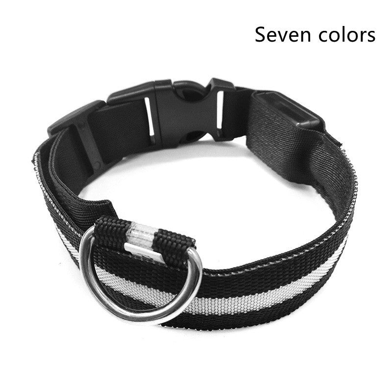 Pet Nylon LED Collar