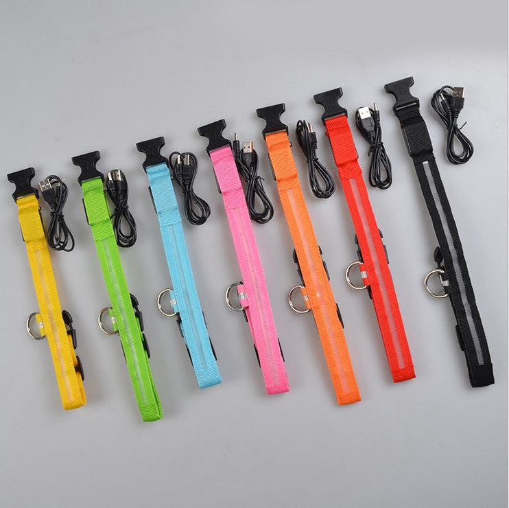 Pet Nylon LED Collar
