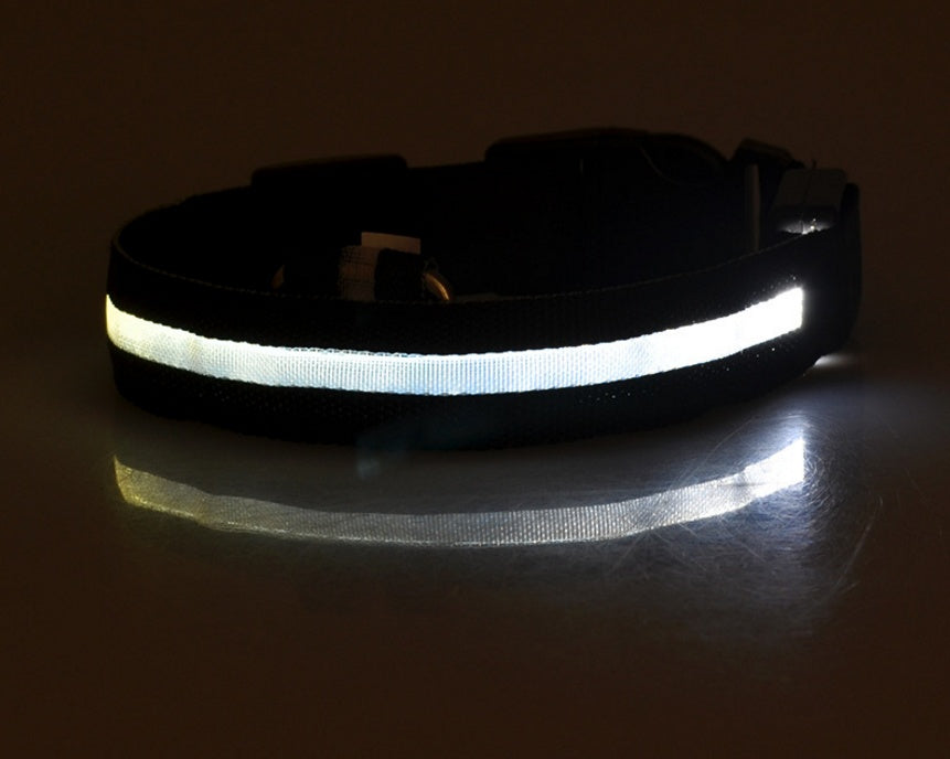 Pet Nylon LED Collar