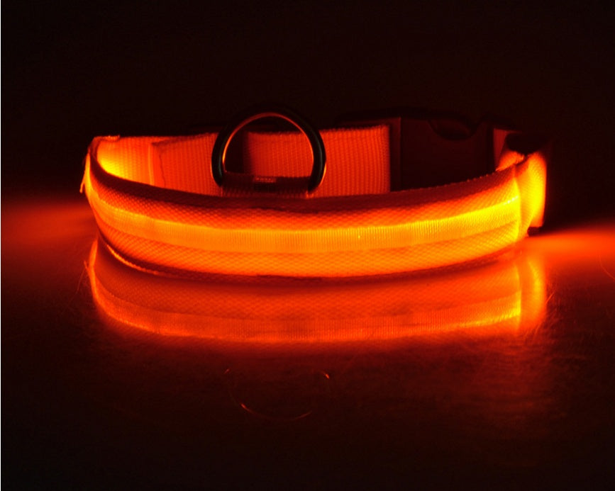 Pet Nylon LED Collar