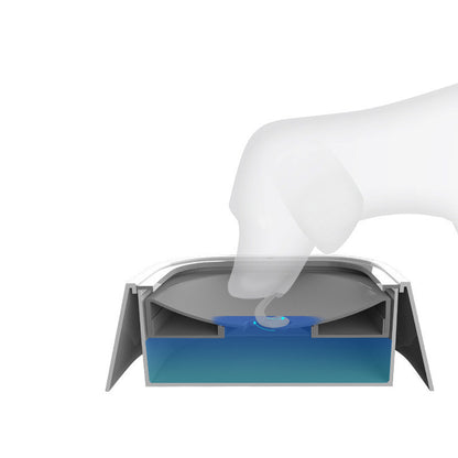 Water Dispenser