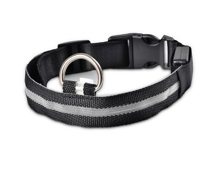 Pet Nylon LED Collar