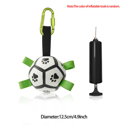 Interactive Dog Football