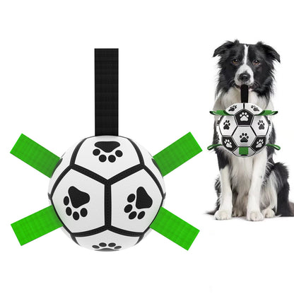 Interactive Dog Football
