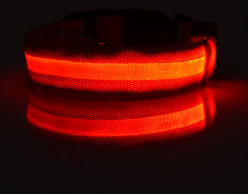 Pet Nylon LED Collar