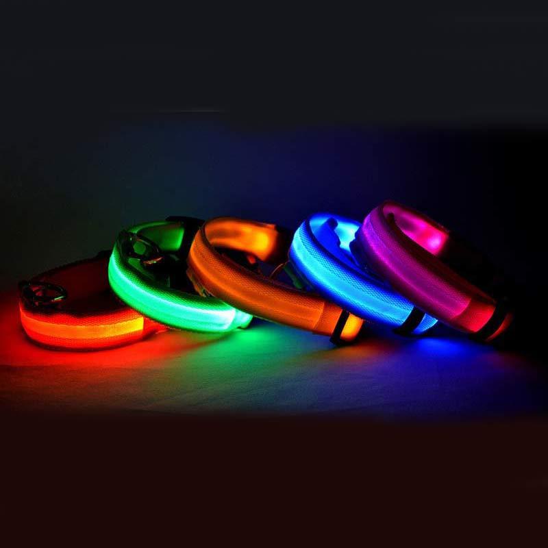 Pet Nylon LED Collar