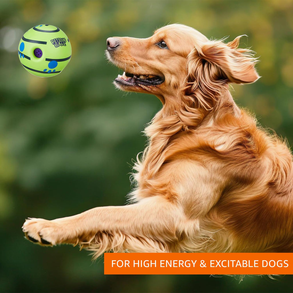 Interactive Sound Ball