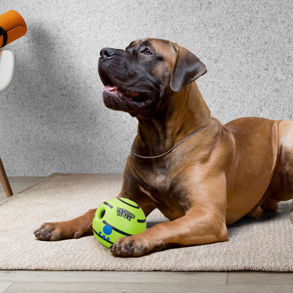 Interactive Sound Ball