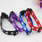 Pet Printed Harness