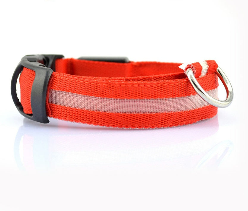 Pet Nylon LED Collar