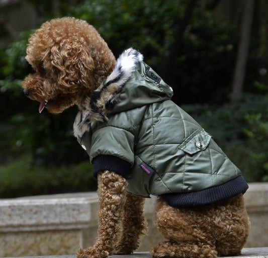 Winter dog clothes