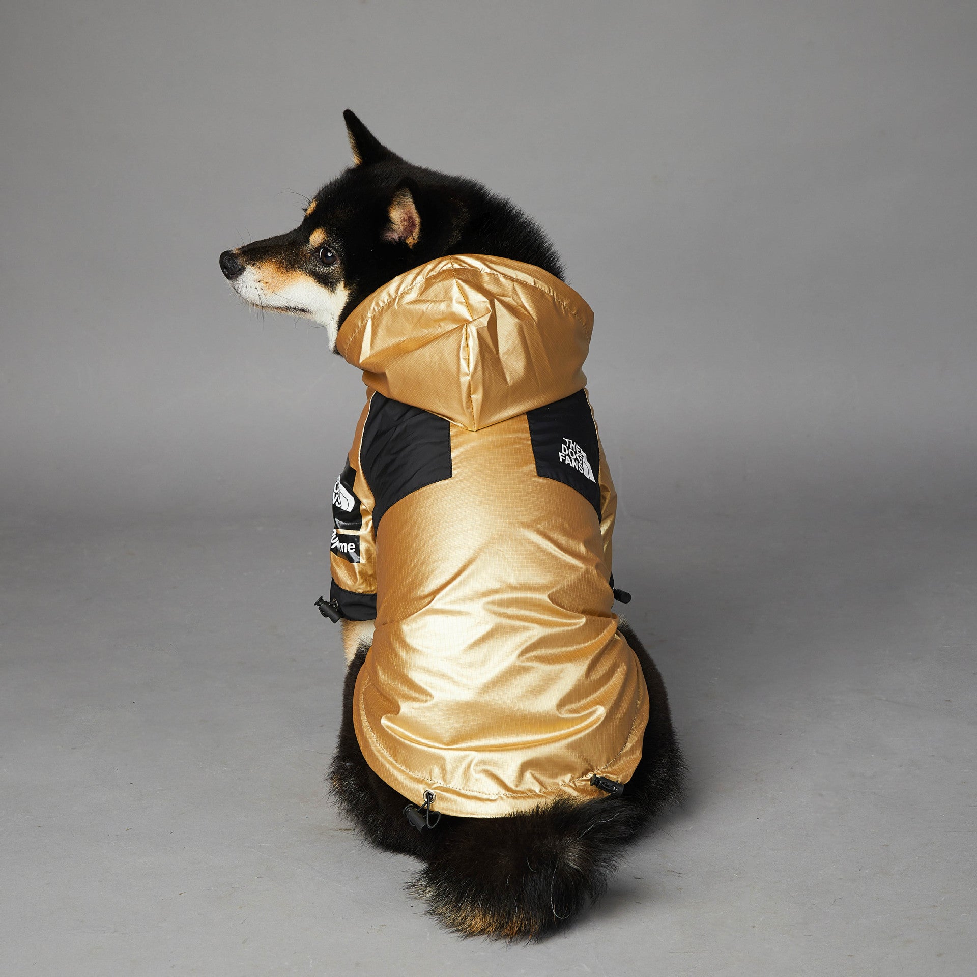 Pet Jacket
