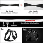 Pet Harness