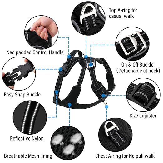 Pet Harness