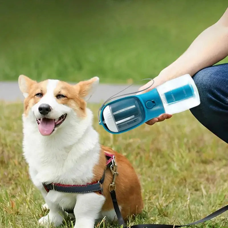 Pets Water Bottle