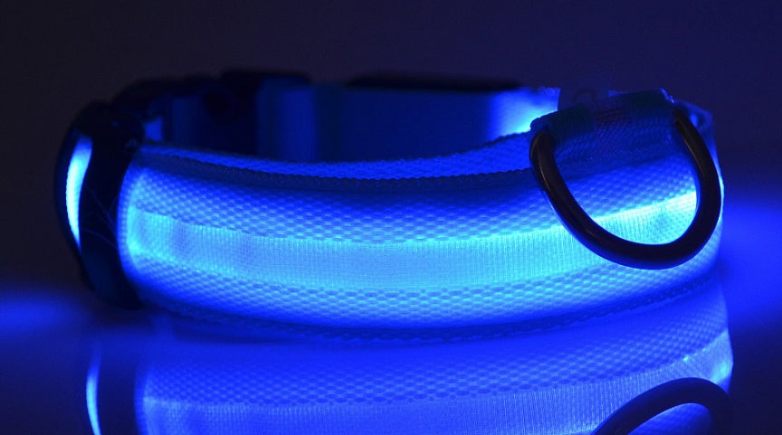 Pet Nylon LED Collar