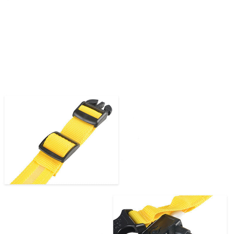 Pet Nylon LED Collar