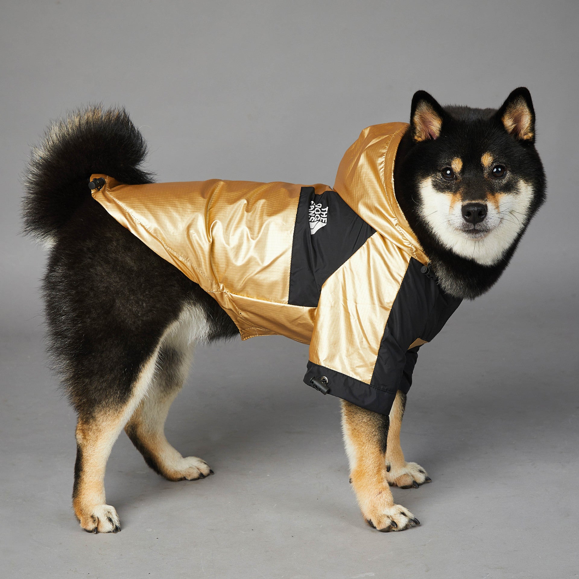 Pet Jacket