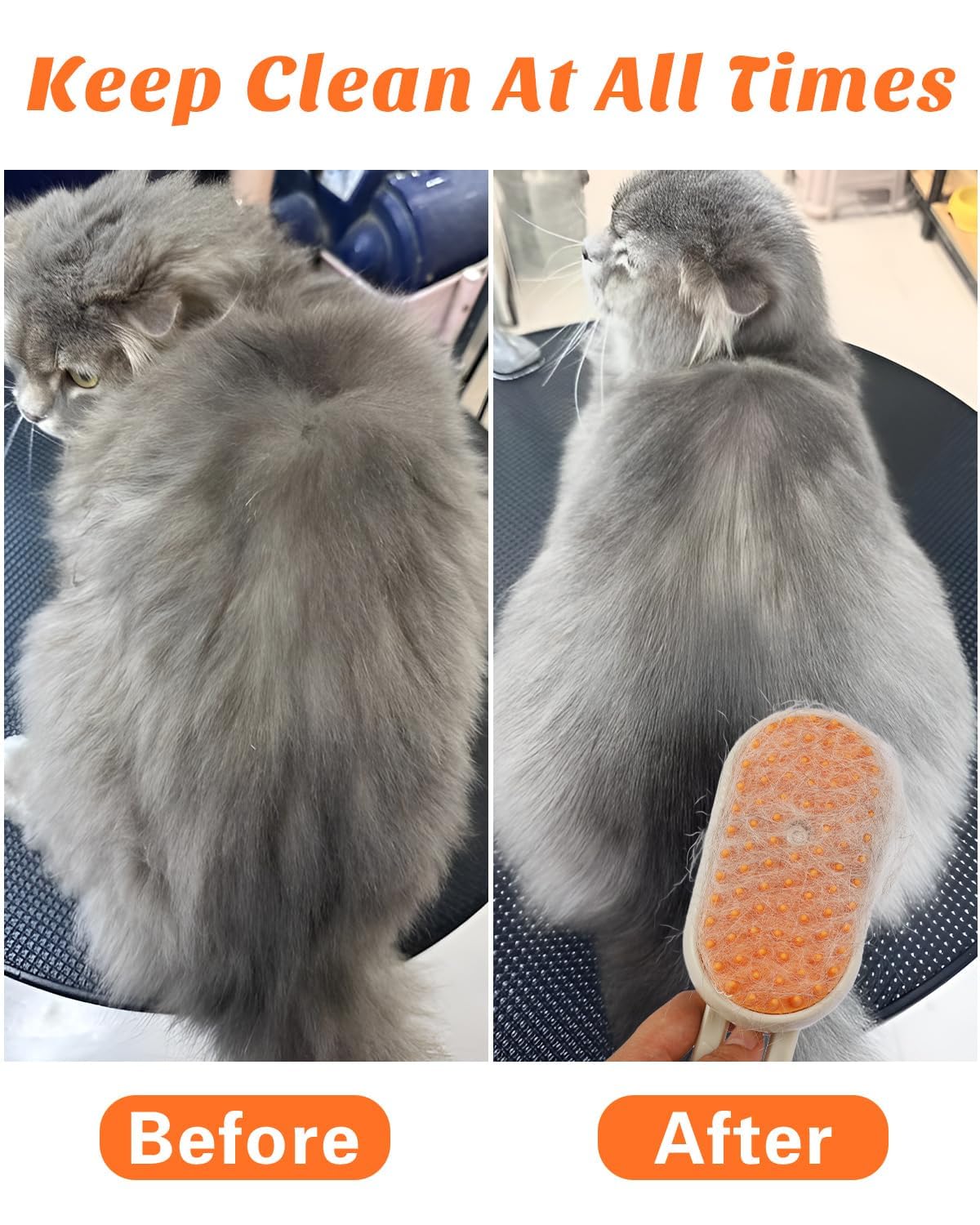 Pet Stream Brush