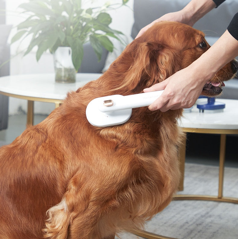 Pet Comb Hair Brush