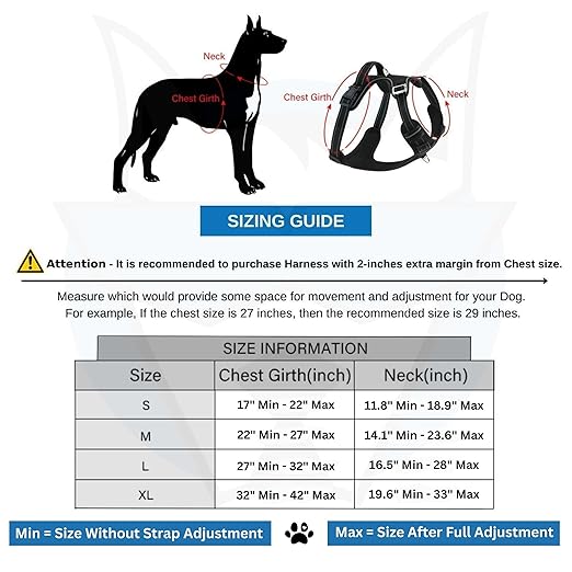 Pet Harness