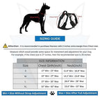 Pet Harness