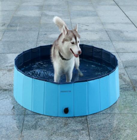 Pet Swimming Pool