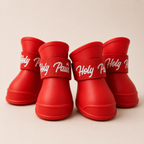 Pet Shoes