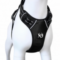 Pet Harness