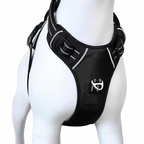 Pet Harness