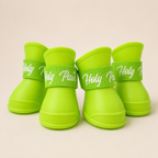 Pet Shoes