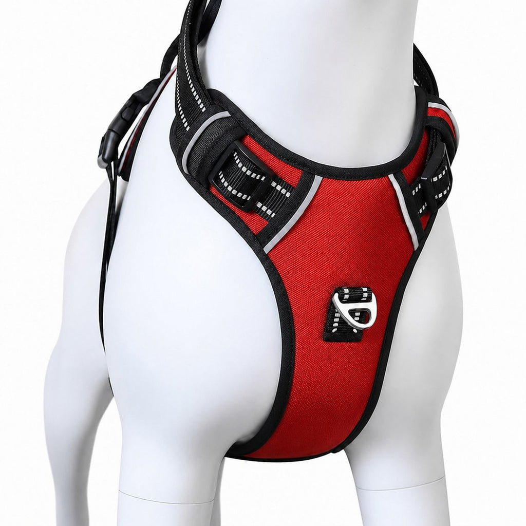 Pet Harness