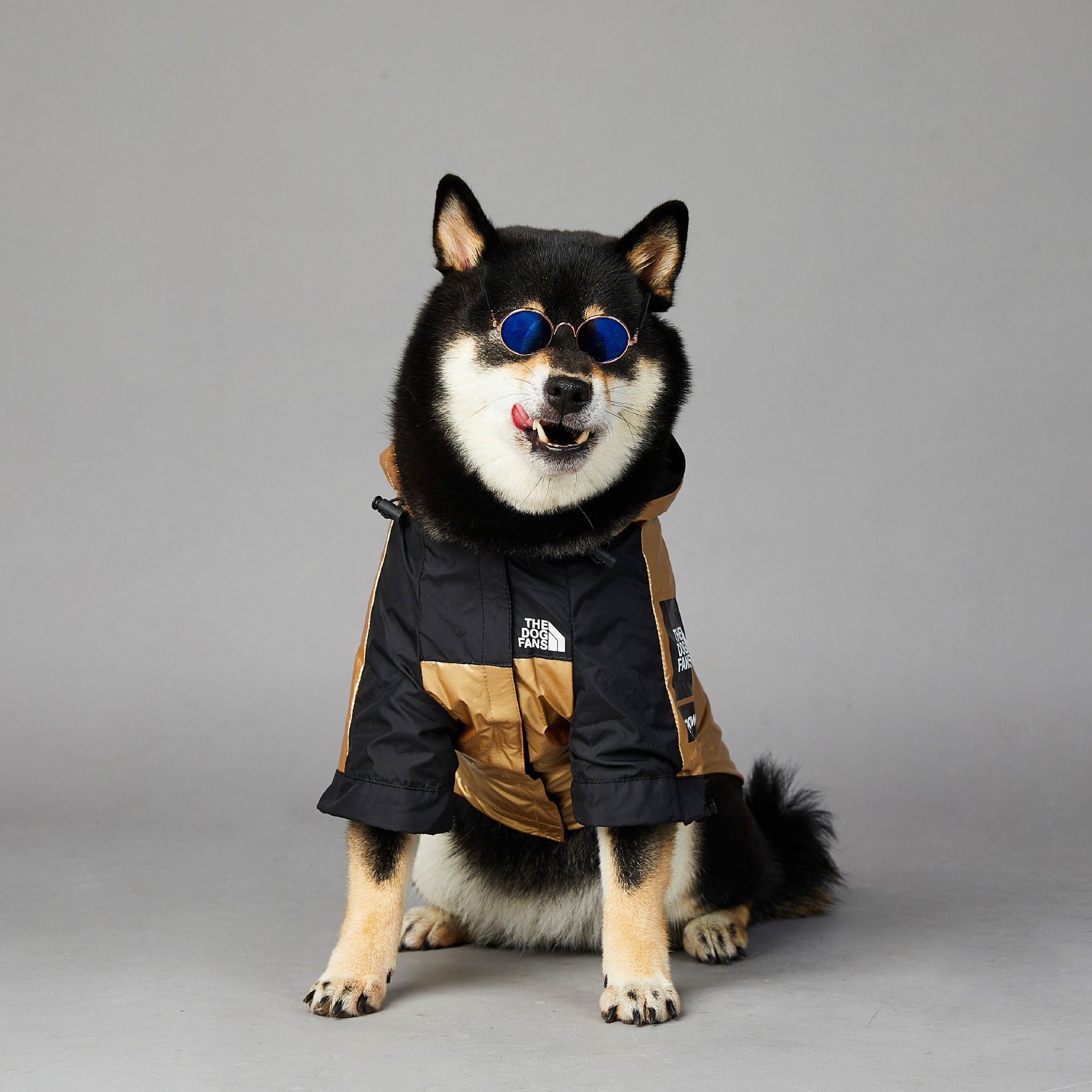 Pet Jacket