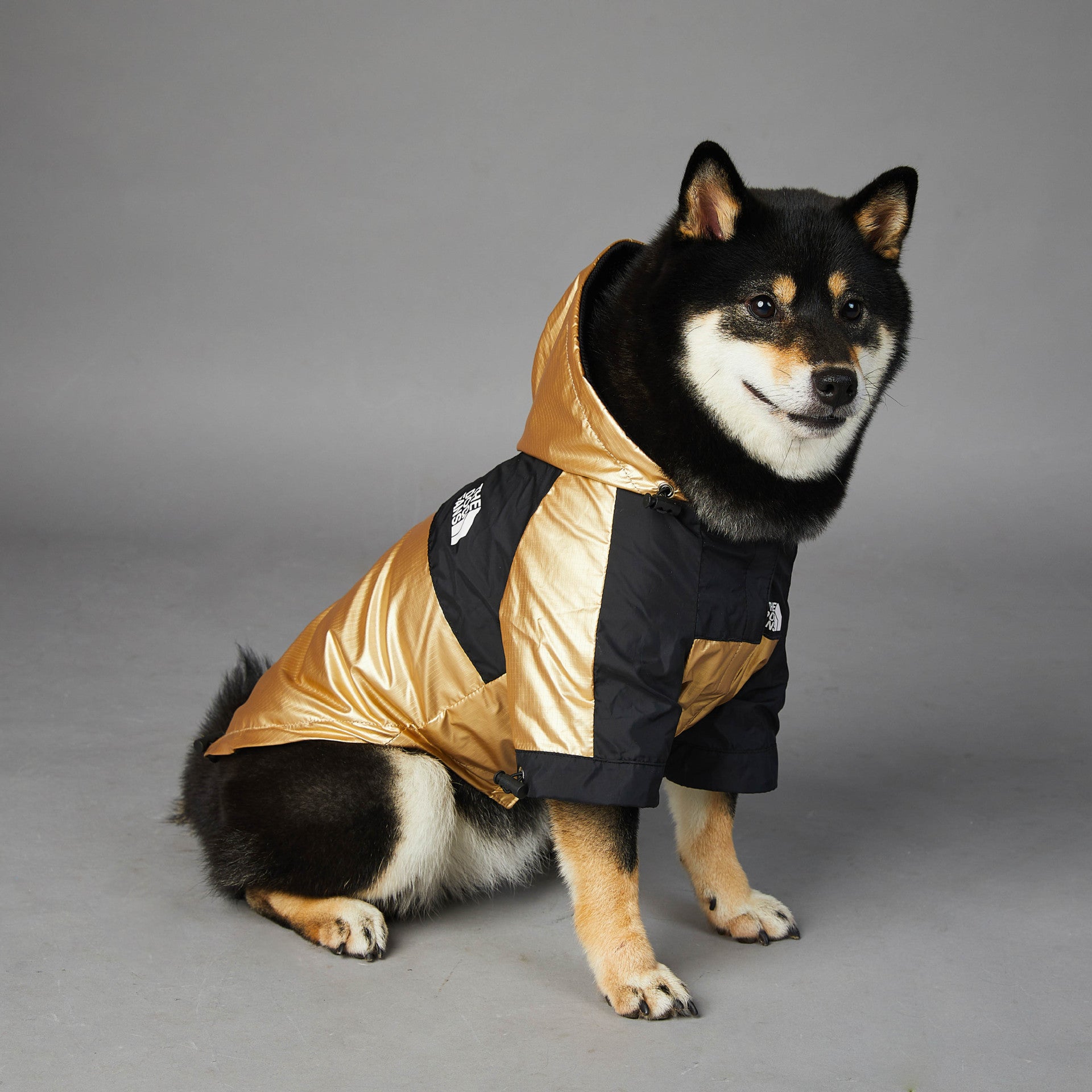 Pet Jacket