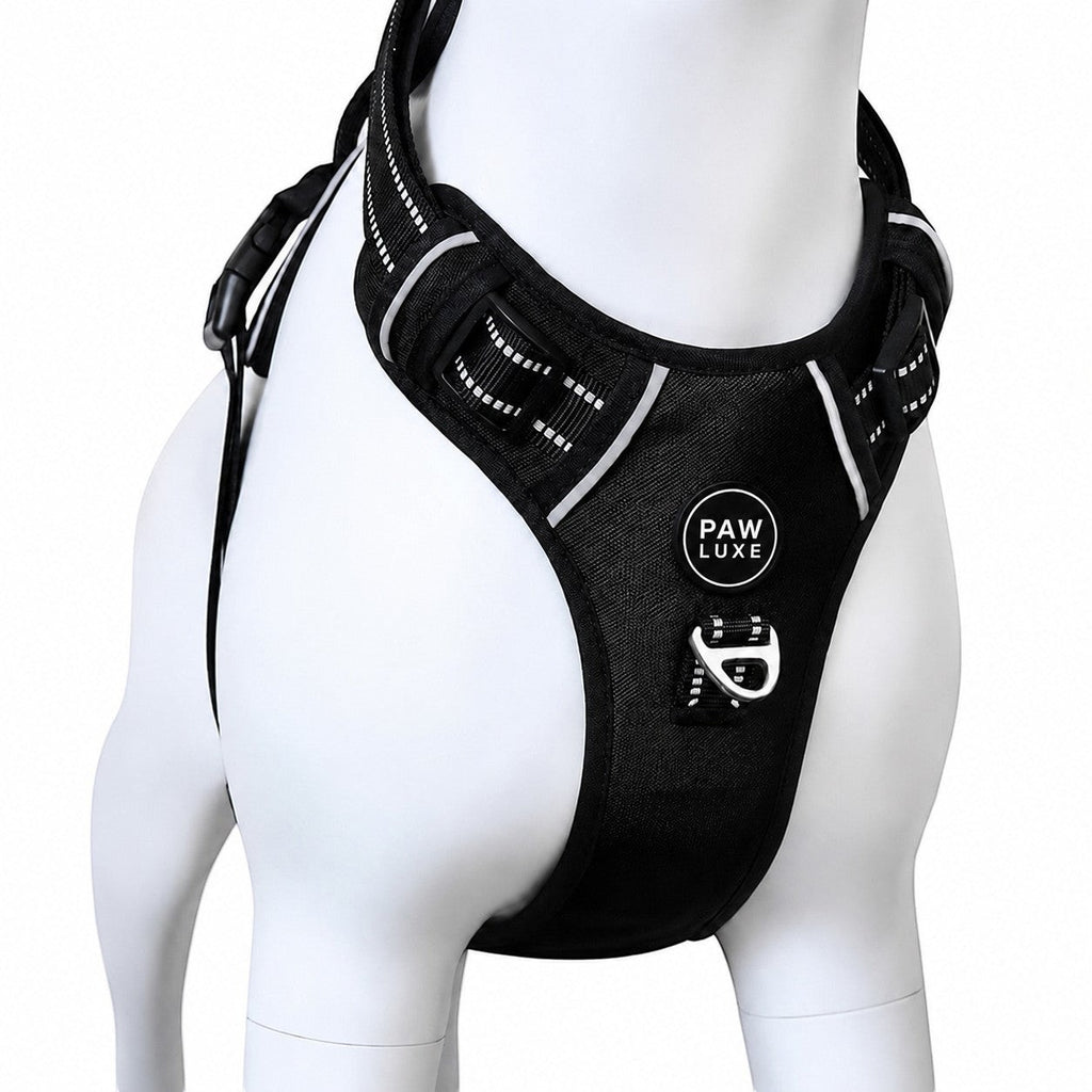 Paw Luxe black no-pull dog harness with reflective stitching and metal D-ring on a white mannequin