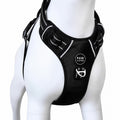 Paw Luxe black no-pull dog harness with reflective stitching and metal D-ring on a white mannequin