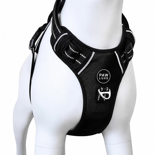 Paw Luxe black no-pull dog harness with reflective stitching and metal D-ring on a white mannequin