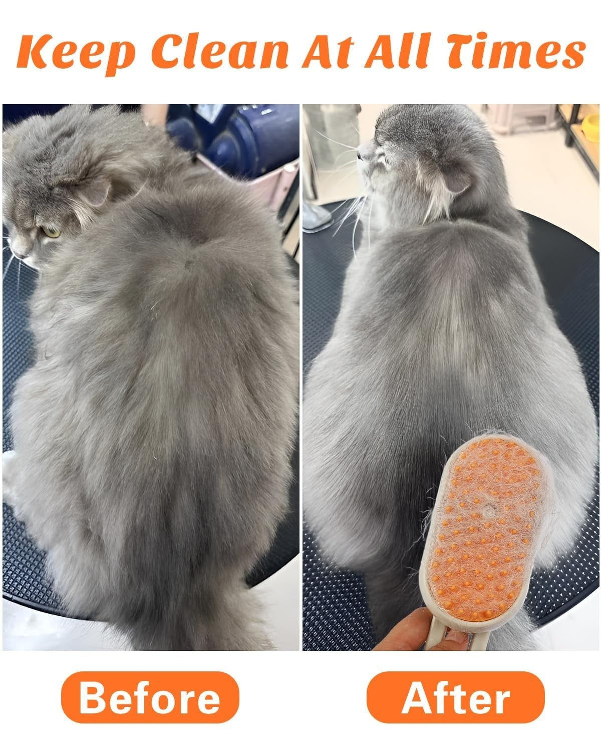 Paw Luxe steam brush grooming a grey cat, showing before and after results for reduced shedding and soft fur.