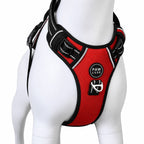 Paw Luxe red no-pull dog harness with breathable mesh, reflective stitching, and a durable metal D-ring.