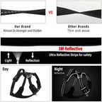 Paw Luxe no-pull dog harness featuring durable reflective stitching, breathable mesh, and adjustable straps for safety.